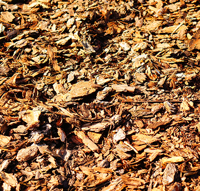 Mulch